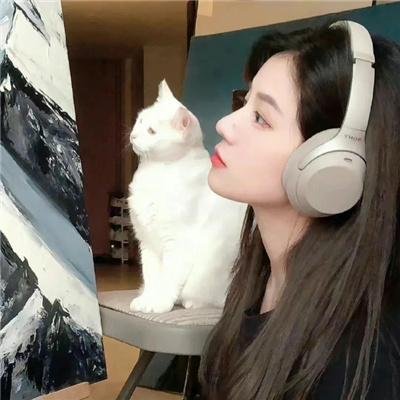 张保仔粤语